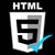 html5Checked
